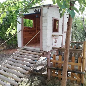 Azienda Agrituristica Le Betulle Séjour à la ferme